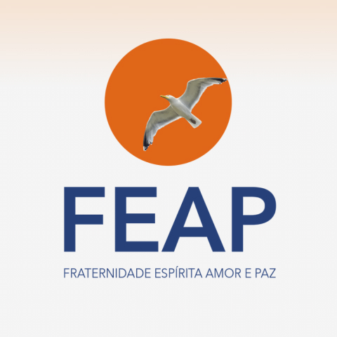 Capa FEAP